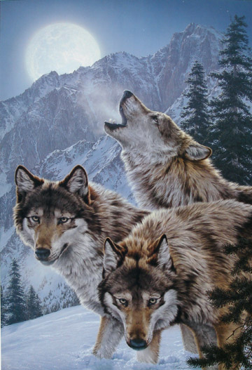 Lee kromschroeder Moon Dancers - Wolves