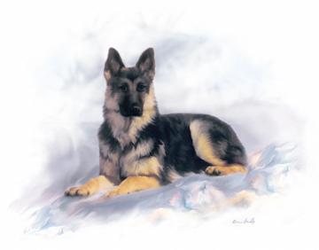  Pet Portrait painting of german shepard dog